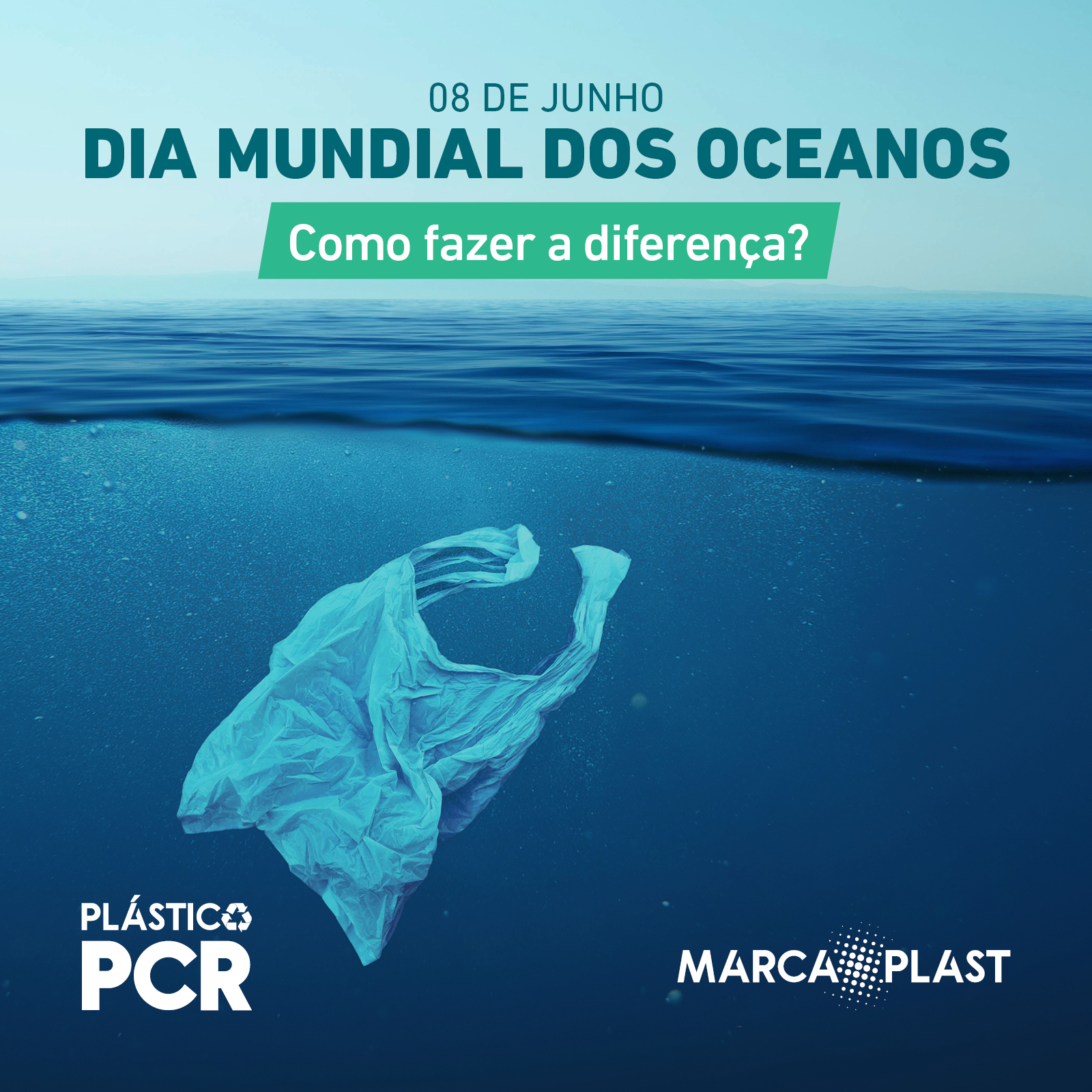 Dia Mundial dos Oceanos - Como fazer a diferença